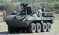 M1130 Commander's Vehicle