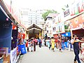 Maha Navami South Kolkata area Durga Puja 2022 31