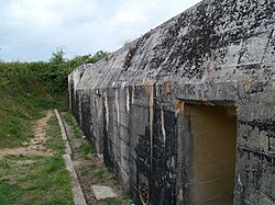 Maisy Battery (17).JPG