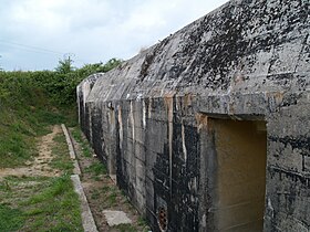 Illustrasjonsbilde av artikkelen Maisy Battery