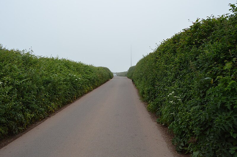 File:Malborough Green - geograph.org.uk - 5943328.jpg