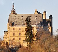 Spruce on the Wilhelmsbau of the Landgrave Palace [1]