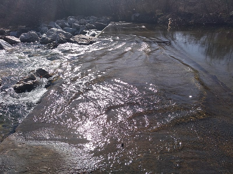 File:Maritsa near Zlokuchene, Bulgaria 2019 27.jpg