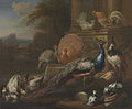 Marmaduke Cradock - Peacocks, Doves, Turkeys, Chickens and Ducks by a Classical Ruin - Google Art Project.jpg