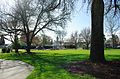 McKinney Park in w:Hillsboro, Oregon.