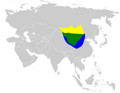 Melanocorypha mongolica distribution map.png