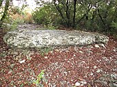 Menhir culcat al lui Pié de Mounié.jpg