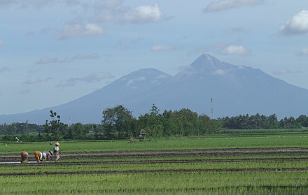 Typical Central Java scenery with Mount Merapi and Mount Merbabu looming large