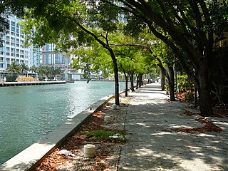 The Miami Riverwalk along the Miami River Miami Riverwalk.jpg