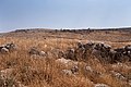 Monastery, Deirouni (ديروني), Syria - Surrounding wall with ruins in distant background - PHBZ024 2016 4300 - Dumbarton Oaks.jpg