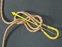 Pull the loop of the figure of eight over the whole knot