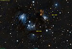 Vignette pour NGC 2185