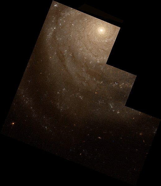 File:NGC 3938 Wiki1.jpg