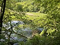 naturnahe Wupper im NSG