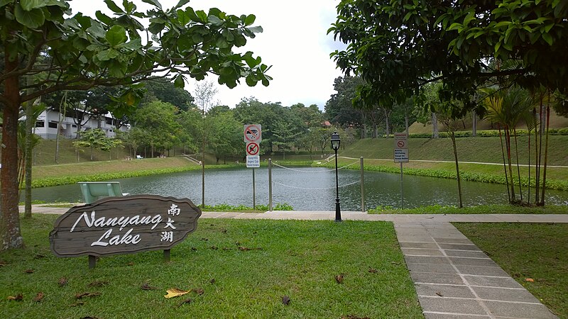 File:Nanyang Lake, Singapore, 2015-02-07.jpg