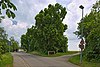Natural monument row of lime trees and pit bench, identification 82350290007, Gechingen 07.jpg