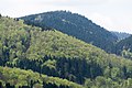 Deutsch: Der Rotenberg im Naturpark Thüringer Wald - Blick vom Reinhardsberg in Friedrichroda.