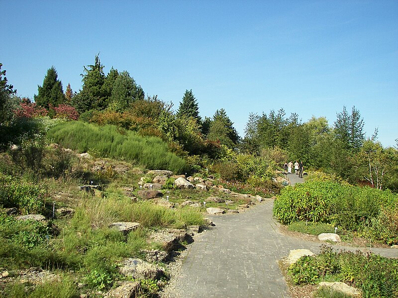 File:Neuer Botanischer Garten - Alpinum 002.jpg