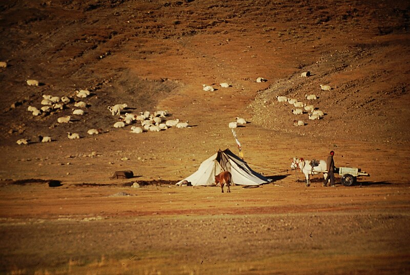 File:Nomadic Manasarovar pilgrimage trail.jpg