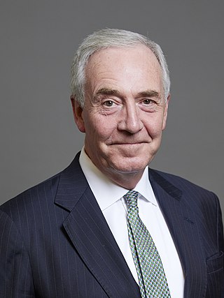 <span class="mw-page-title-main">David Anderson, Baron Anderson of Ipswich</span> British barrister and life peer (born 1961)
