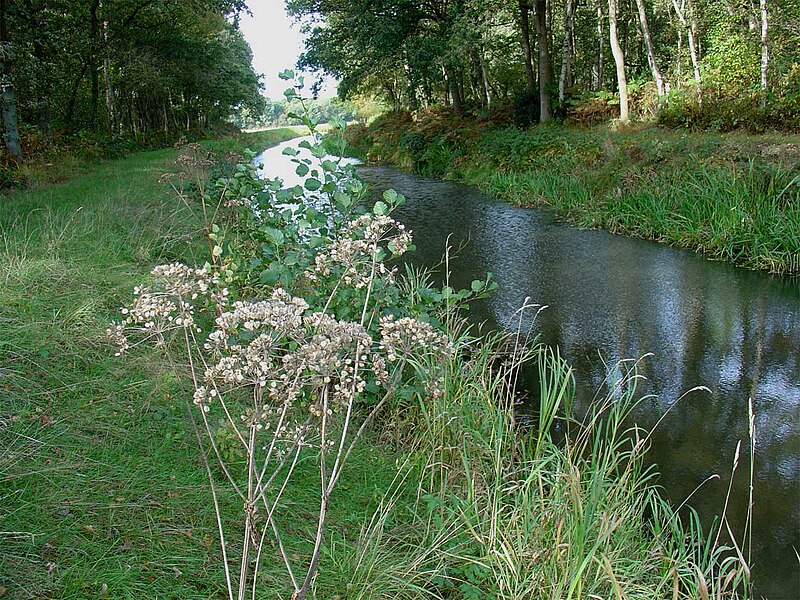 File:Oostervoortsche Diep.jpg