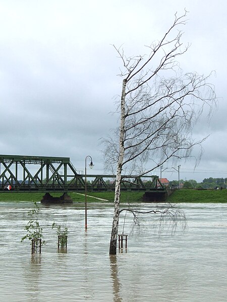 File:Oppeln - flood 2010.jpg