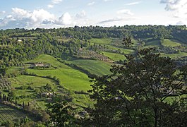 Vihreä laakso Umbriassa.