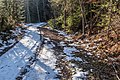 * Nomination Forest road on Bannwaldweg #8 in Winklern, Pörtschach, Carinthia, Austria --Johann Jaritz 02:55, 30 December 2017 (UTC) * Promotion Good quality. --PumpkinSky 02:58, 30 December 2017 (UTC)