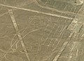 P1030366 Pérou, Nazca, le géoglyphe le Perroquet (9418397620).jpg