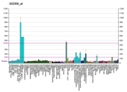 PBB GE MTHFD1 202309 bei fs.png