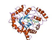 PDB 2ipw EBI.jpg