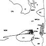 Vignette pour Noyau paraventriculaire de l'hypothalamus