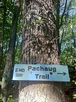 Pachaug Trail - Green Fall Pond'daki Terminus, Voluntown, CT.jpg