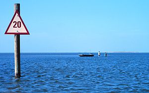 Estuaries Of Texas