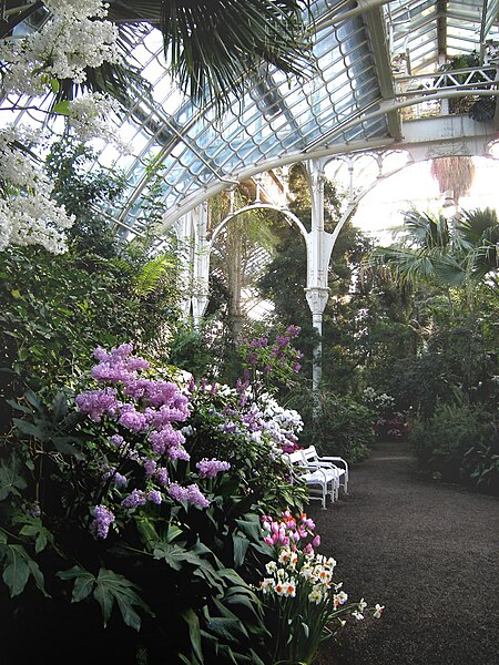 File:Palm house (Schönbrunn) 20080210 068.jpg