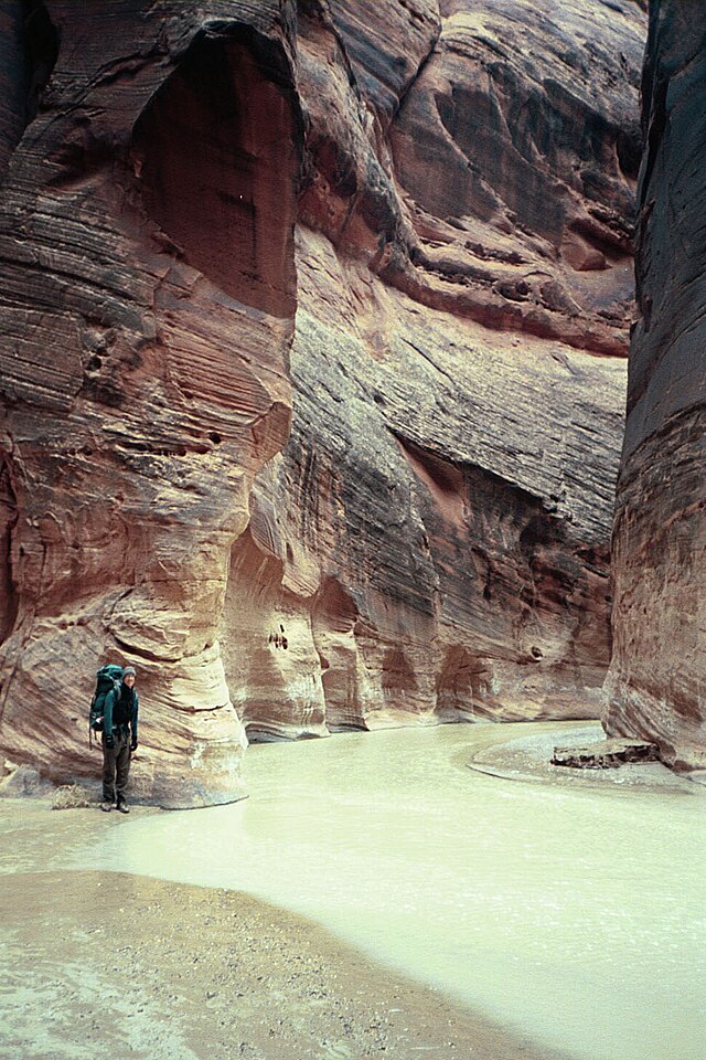 are dogs allowed in paria canyon