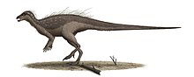 Life restoration of Parksosaurus warreni Parksosaurus Steveoc86.jpg