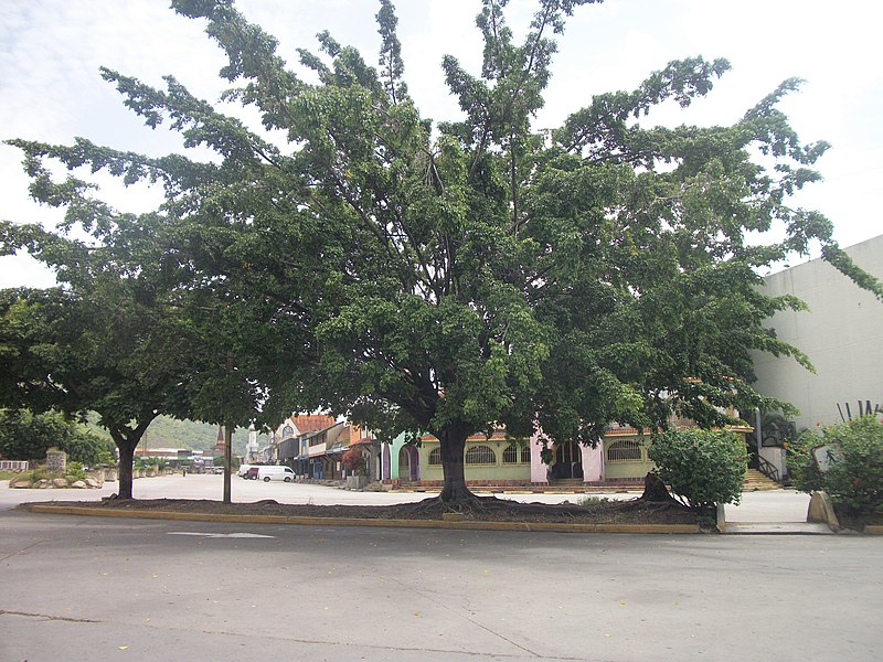 File:Parque Comercial Industrial Castillito, San Diego 2006, Carabobo, Venezuela - panoramio (1).jpg