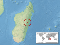 Phelsuma flavigularis Distribution.png