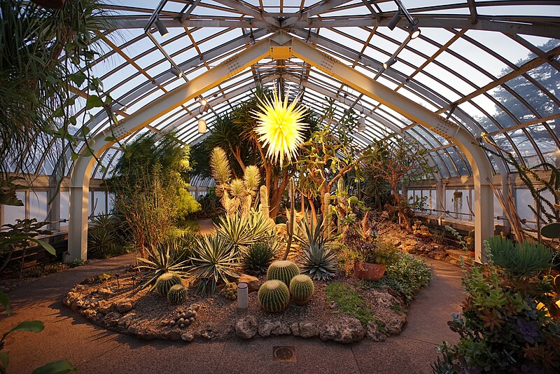 File:Phipps Conservatory Desert Room.jpg