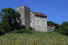 Image illustrative de l’article Château de Habsbourg