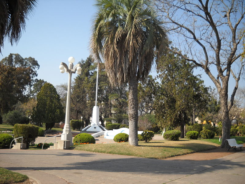 File:Plaza y palmera.JPG