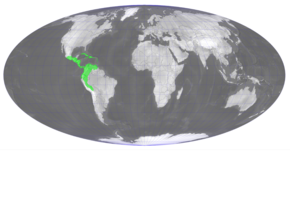 A Polyphlebium capillaceum distribution.png kép leírása.