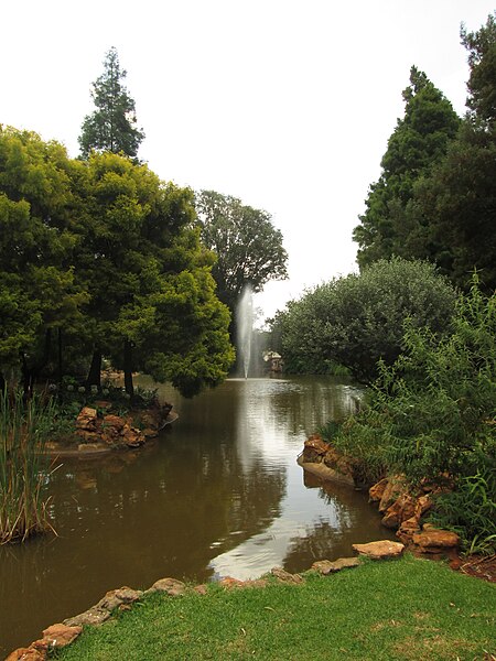 File:Pond by the Gavin Reilly Green, Wits University.jpg