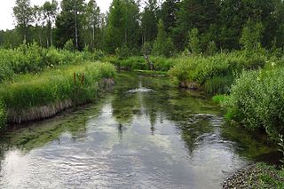 Varangu Nature Reserve Protected area in Estonia