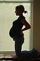 Pregnant profile III.jpg