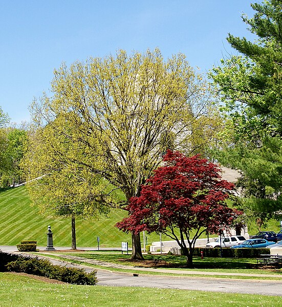 File:President William McKinley Monument Canton OH.JPG