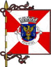 Flagge von Penafiel