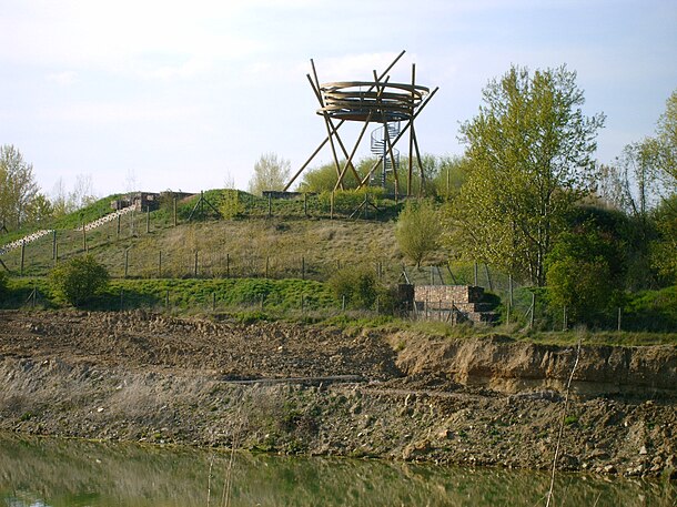 Regionalpark_RheinMain_Vogelnest_4118