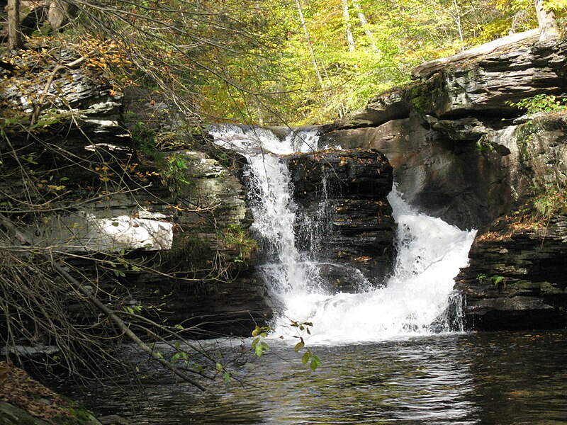 File:Ricketts Glen State Park Murray Reynolds Falls 6.jpg